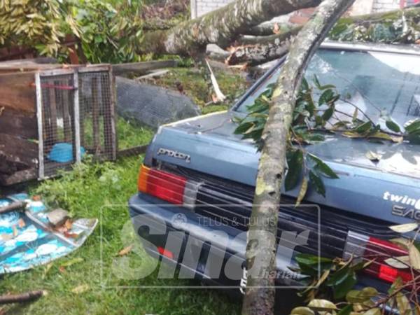 Antara kenderaan terjejas ditimpa pokok selepas ribut.