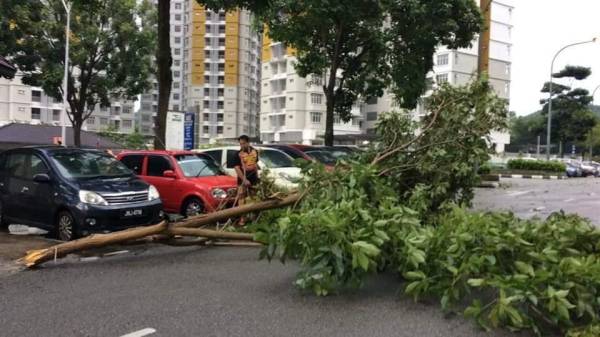 Keadaan pokok yang menghalang laluan selepas ribut di Putrjaya