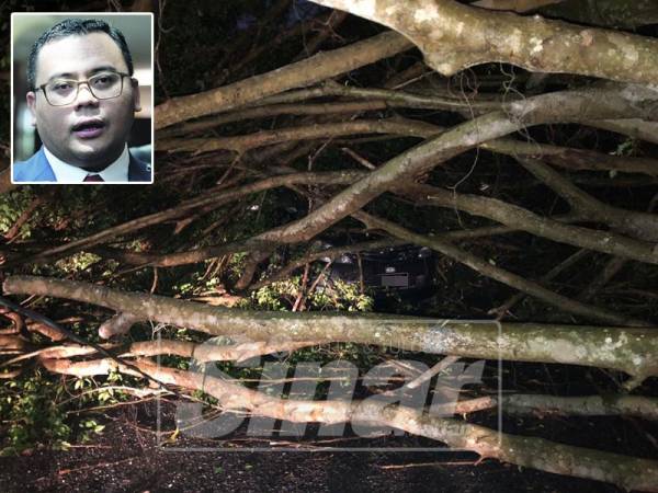 Laporkan segera kepada pihak MBSA di talian 1800884477 sekiranya ada kejadian pokok tumbang di kawasan anda