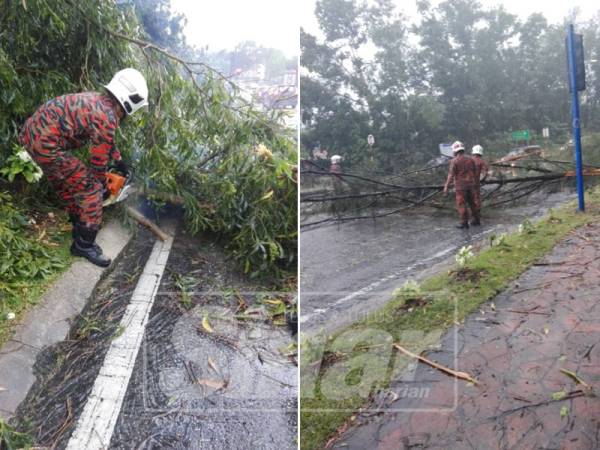 Bomba memotong dan mengalihkan pokok tumbang yang menghalang laluan Gambar kanan: Beberapa kawasan terjejas kerana pokok tumbang dan menghalang laluan