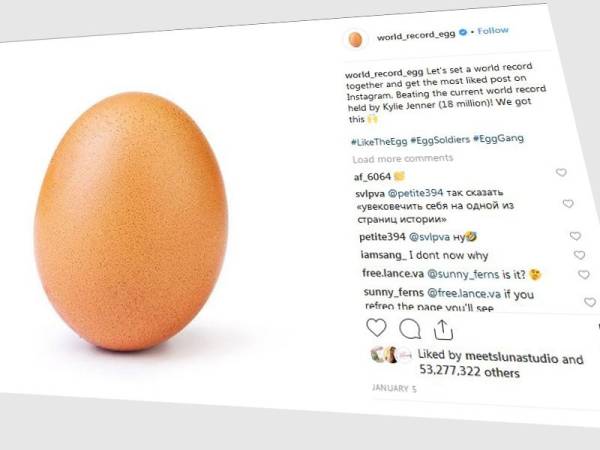 Misteri sebiji telur terungkai. - Instagram @world_record_egg