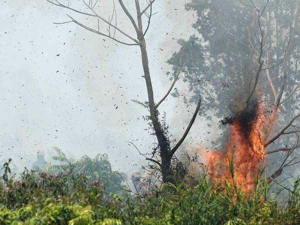 Kebakaran hutan paya gambut di Lembah Bidong. - Foto Bernama