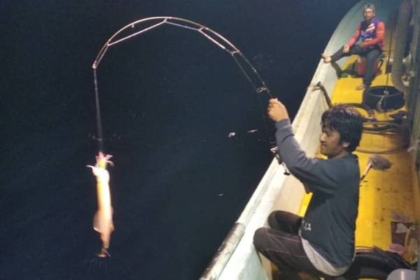 Musim mencandat kini sudah bermula. 