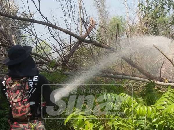 Anggota bomba membantu memadamkan kebakaran belukar
