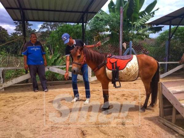 Kuda padi turut disediakan untuk kanak-kanak 