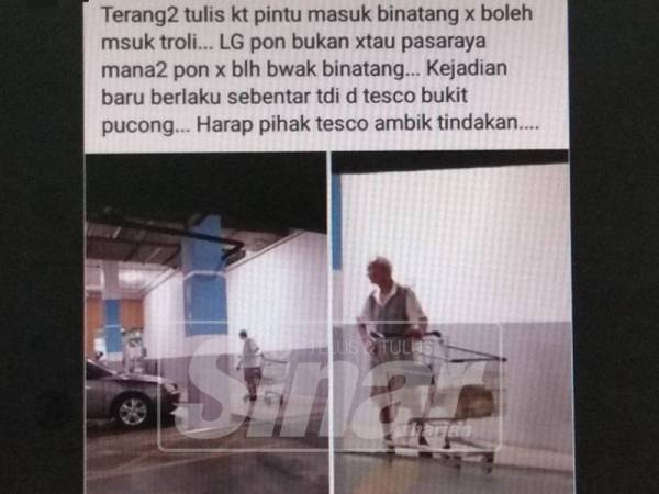 Gambar seekor anjing diletakkan dalam troli oleh pengunjung sebuah pasaraya di Bandar Bukit Puchong yang tular sejak kelmarin