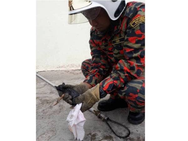 Anggota bomba menggunakan penjerut untuk menaikkan kucing tersebut. - Foto Bomba Bukit Angin