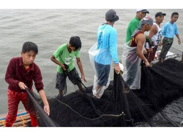 Reymark akan mengutip ikan-ikan kecil tersangkut di jala sebelum dijual.
