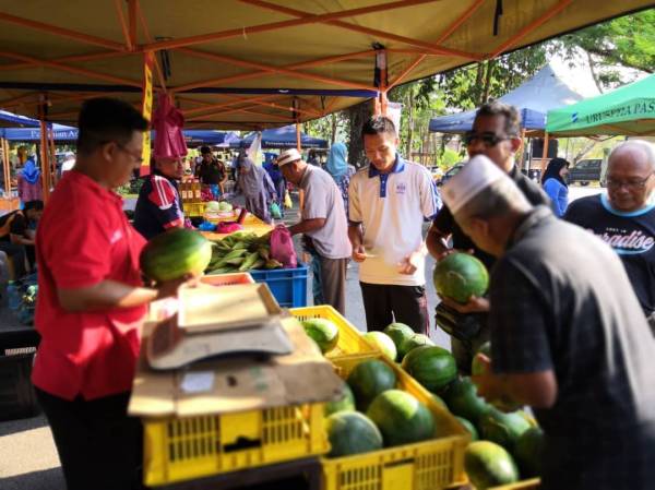 Seorang pengunjung memilih buah tembikai di pasar tani.
