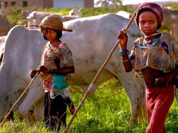 Penduduk etnik Fulani sering menjadi sasaran pemburu etnik Dogon.