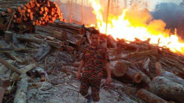 Kebakaran hutan di Kampung Pulai.