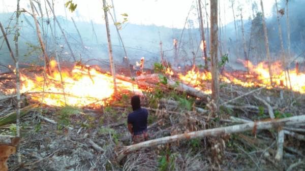 Anggota bomba membantu pihak ladang membuat 'fire break'.