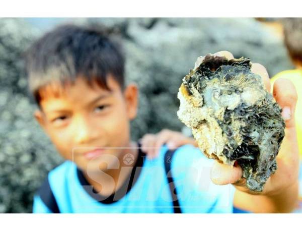 Fahrin gembira mendapat hasil tiram.