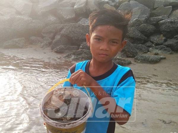 Fahrin menunjukkan hasil laut iaitu tiram yang diperolehi di kampung Pantai, Kuala Sungai Baru.
