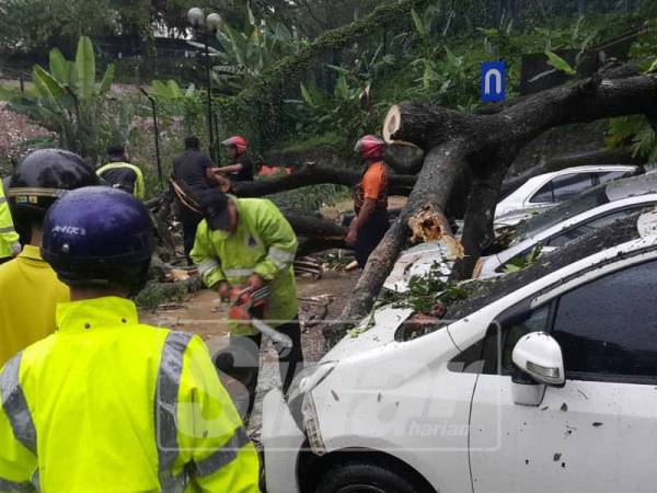 Kerja-kerja memotong pokok yang tumbang dan mengeluarkan kenderaan dilakukan dengan bantuan pihak DBKL.