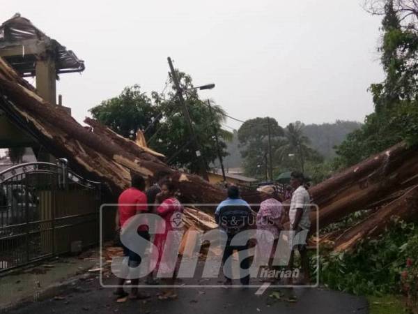 Pokok tumbang menghalang laluan penduduk.