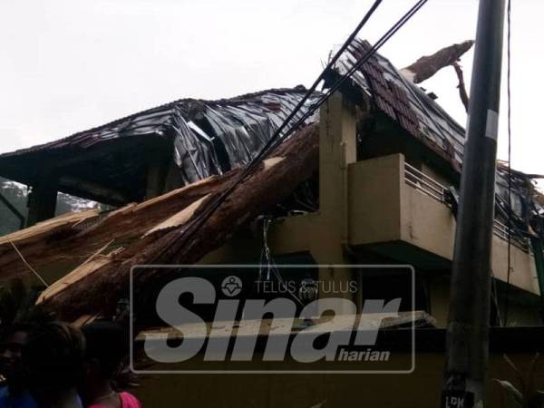 Keadaan pokok tumbang hempap bahagian atas rumah dua tingkat. 