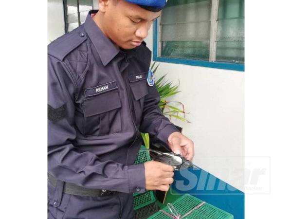 PPM Wilayah 2 merampas Murai Kampung yang dirampas dalam serbuan di Pantai Kampung Simon, Teluk Ramunia.