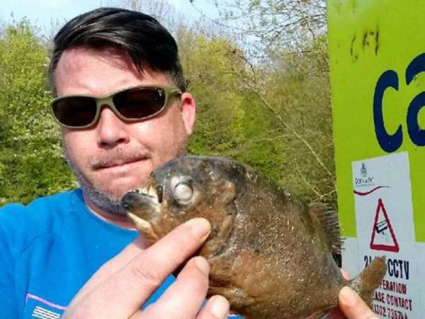 Davey menunjukkan ikan piranha di temui di tasik Doncaster.- The Sun