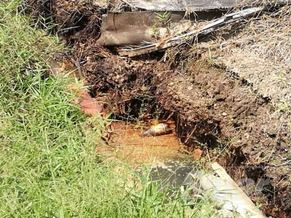 Keadaan parit yang dicemari plumbum.