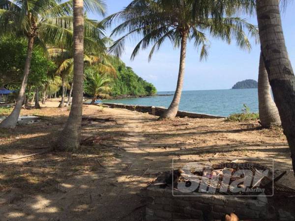 Lambaian pohon nyiur di tepi pantai yang mendamaikan.