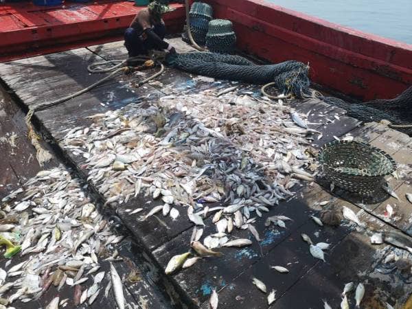 Hasil tangkapan yang dirampas daripada bot berkenaan.