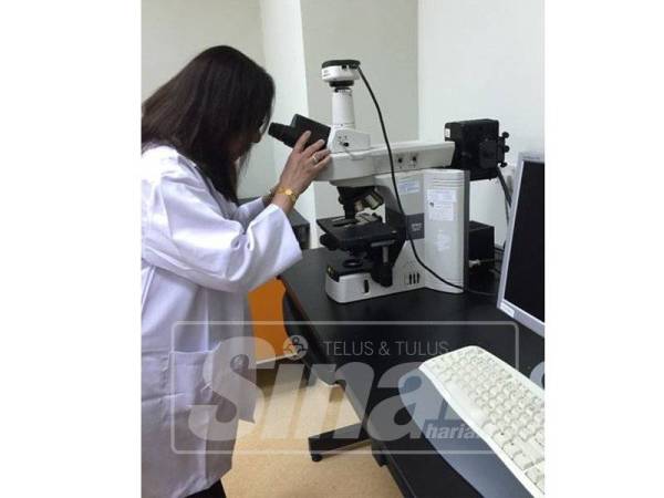 Dr Ima ketika sedang menjalankan kajian di makmal Jabatan Farmakologi, Fakulti Perubatan UKM.