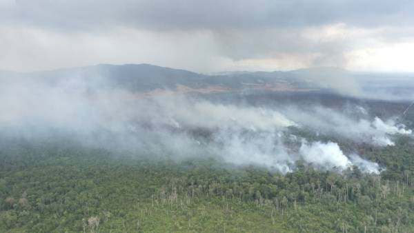 Tiga tompokan kebakaran baharu dikenal pasti
