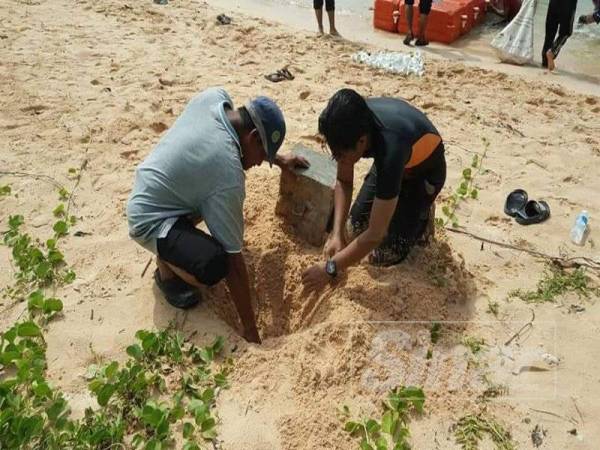 Peserta program menanam batu yang diikat tali supaya pontun tidak dihanyutkan.