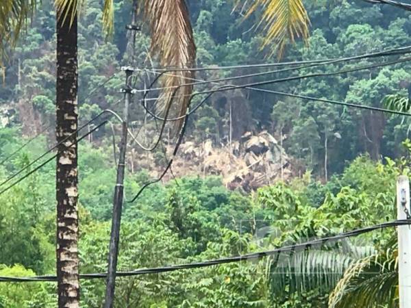 Penebangan pokok di kawasan hutan dapat dilihat penduduk dari jalan utama sekaligus mencetuskan kebimbangan kepada mereka.