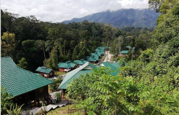 ICSC di Kanyon Imbak ICCA.