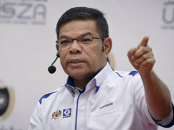 Datuk Seri Saifuddin Nasution Ismail - Foto Bernama