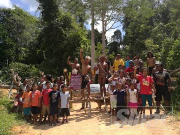 Penduduk mendirikan kembali blockade di Tasik Cunex yang telah dimusnahkan oleh pembalak bagi mengeluarkan balak baru-baru ini.