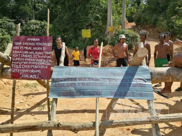 Sekatan yang dibina orang asli di Tasik Cunex, Gerik kelmarin.
