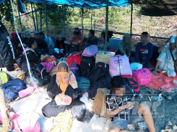 Sebahagian Pati yang ditahan PPM Perak ketika cuba pulang ke negara asal melalui jalan tidak diwartakan kawasan semak paya bakau, Parit 14 Baroh, Hutan Melintang di sini semalam.
