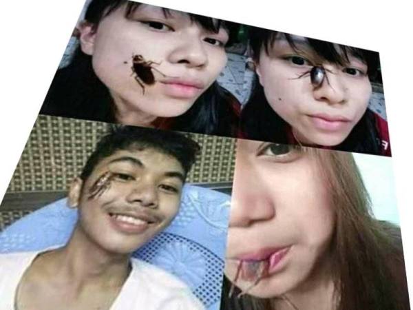 Pengguna media sosial menyahut cabaran lipas yang kini semakin tular.