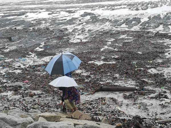 Fenomena ribuan kerang yang memenuhi pesisiran Pantai Murni menjadi tarikan orang ramai.