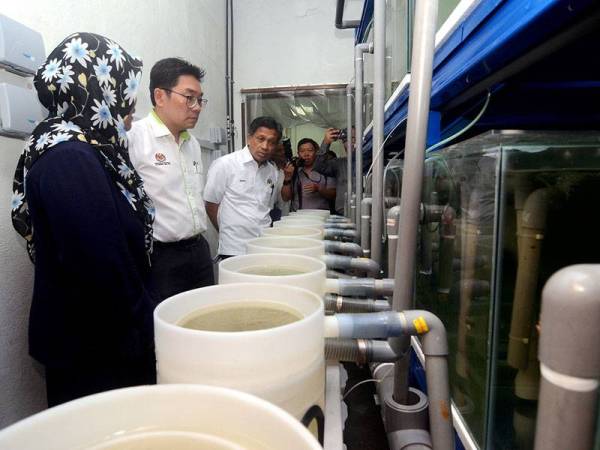 Timbalan Menteri Pertanian dan Industri Asas Tani Sim Tze Tzin ketika lawatan rasmi di World Fish, Batu Maung hari ini. - Foto Bernama