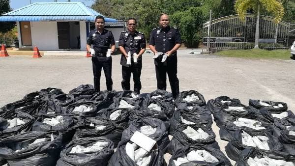 Nik Ahmad Kamil (tengah) bersama anggota menunjukkan daun-daun ketum yang berjaya dirampas pihaknya Ahad lalu.