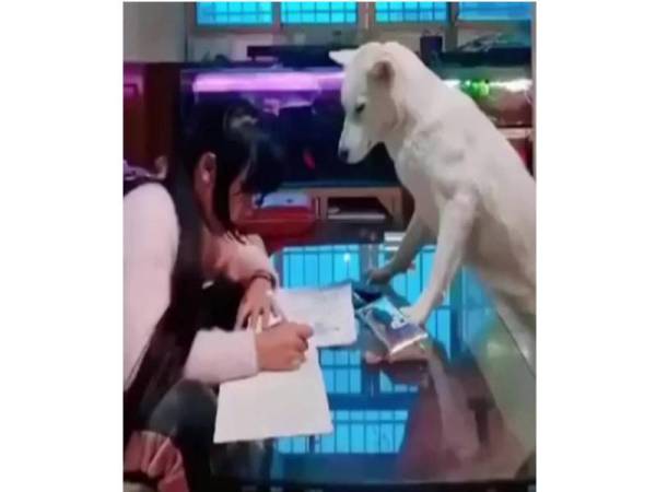 Paparan skrin sedutan video yang tular di media sosial.