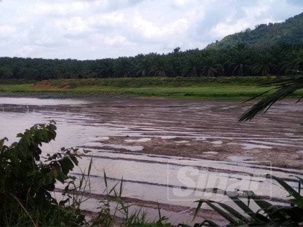Keadaan empangan Durian Tunggal yang semakin kritikal berikutan cuaca panas berpanjangan dan hujan hanya dibeberapa tempat.