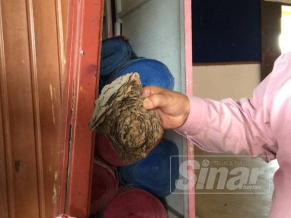 Anai-anai yang menjejaskan dewan. 