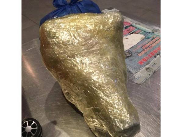 Antara bahagian anggota badan babi yang pernah dirampas sebelum ini.