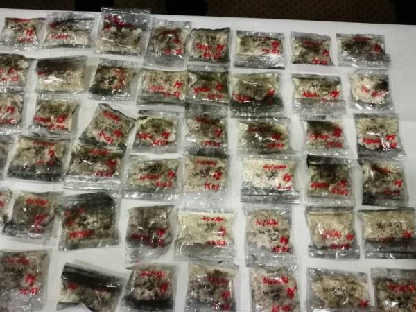 Antara dadah yang dirampas dalam serbuan di ladang kelapa sawit Bukit Selambau Ahad lalu.