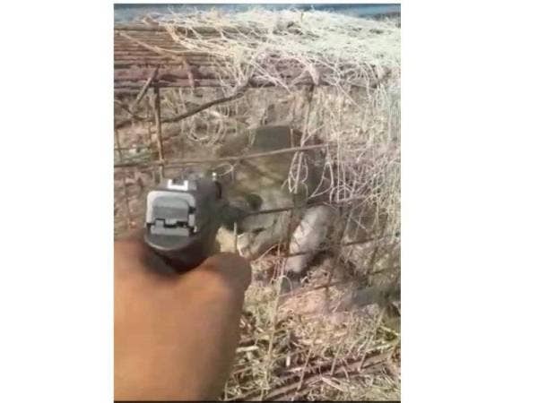 Video kes tembak monyet yang tular di media sosial sejak dua hari lalu.