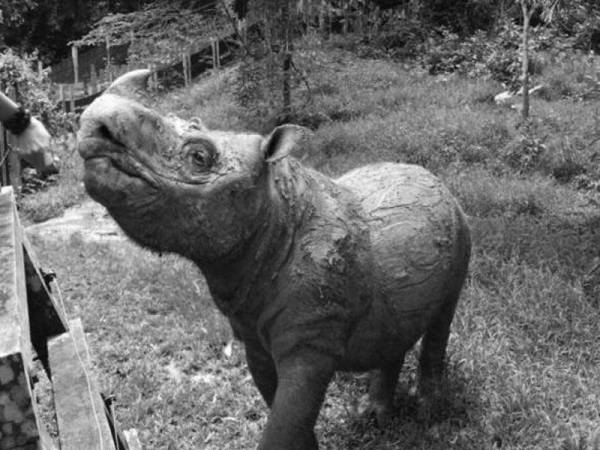 Tam spesies istimewa sudah mati. - Foto Astro Awani