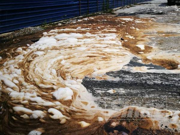 Kelihatan buih bercampur minyak yang mengalir ke kawasan berkenaan.