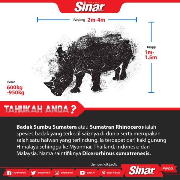 tahukah anda baru