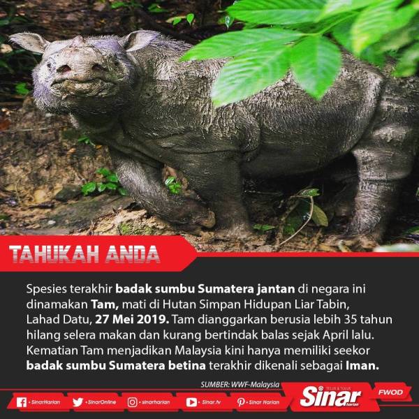 WhatsApp Image 2019-05-28 at 21.23.49