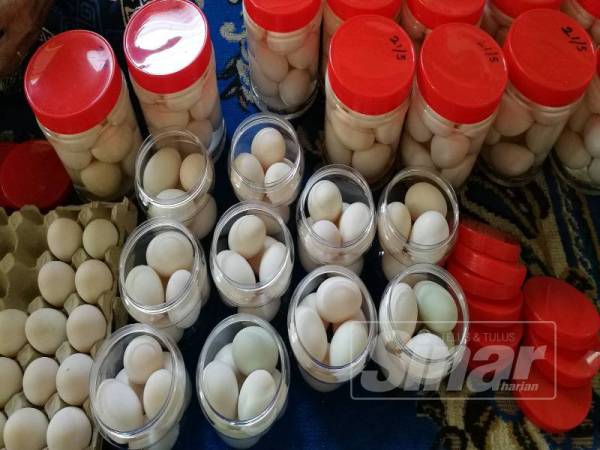 Ramadan bawa rezeki kepada pengusaha telur  masin